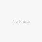 NPower 110/120VAC