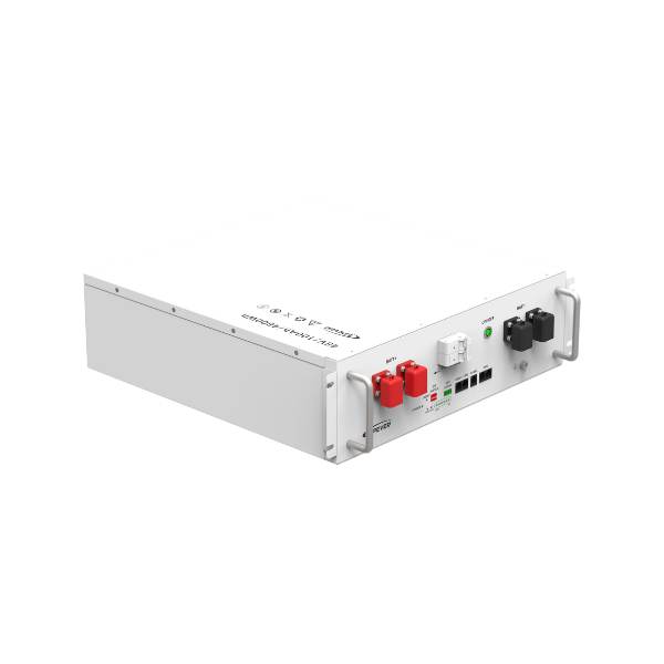 48V 100Ah (LCD) - P20R5 (LED + Circuit Breaker)