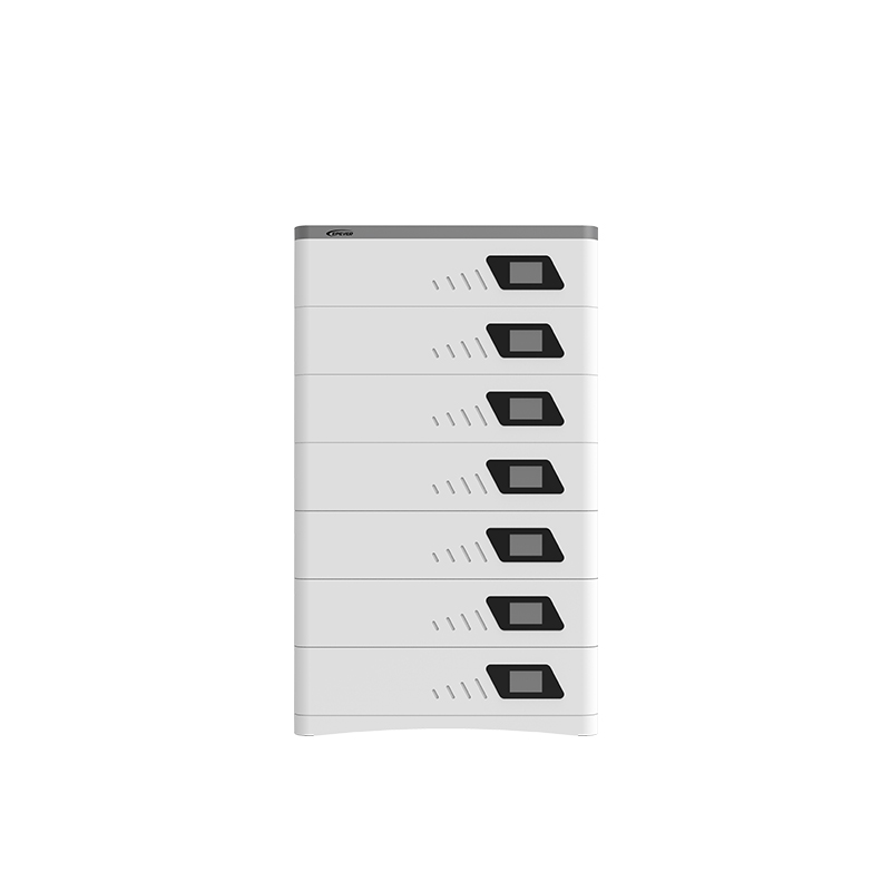 51.2V 100Ah (LCD) - P65F2