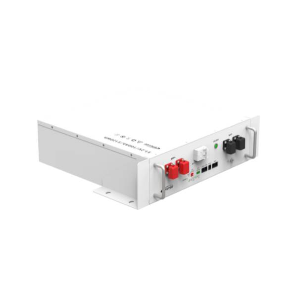 51.2V 100Ah (LED + Circuit Breaker) - P20R5