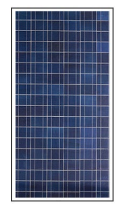 BlueSolar 270W-20V Poly